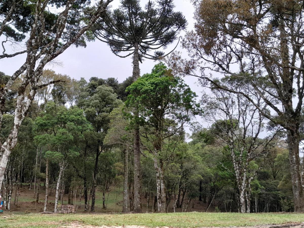 Cabanas Dos Pinheiros São Francisco de Paula Exterior foto