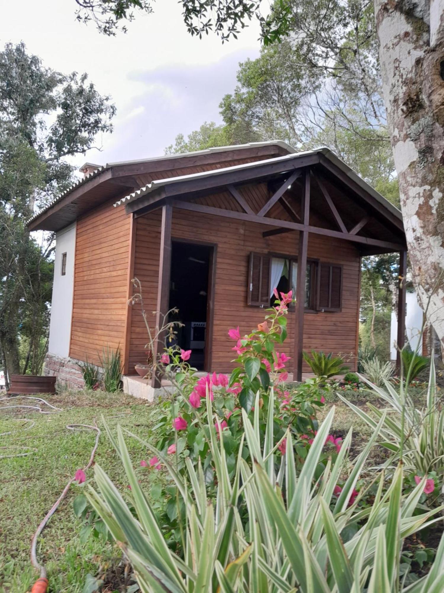 Cabanas Dos Pinheiros São Francisco de Paula Zimmer foto