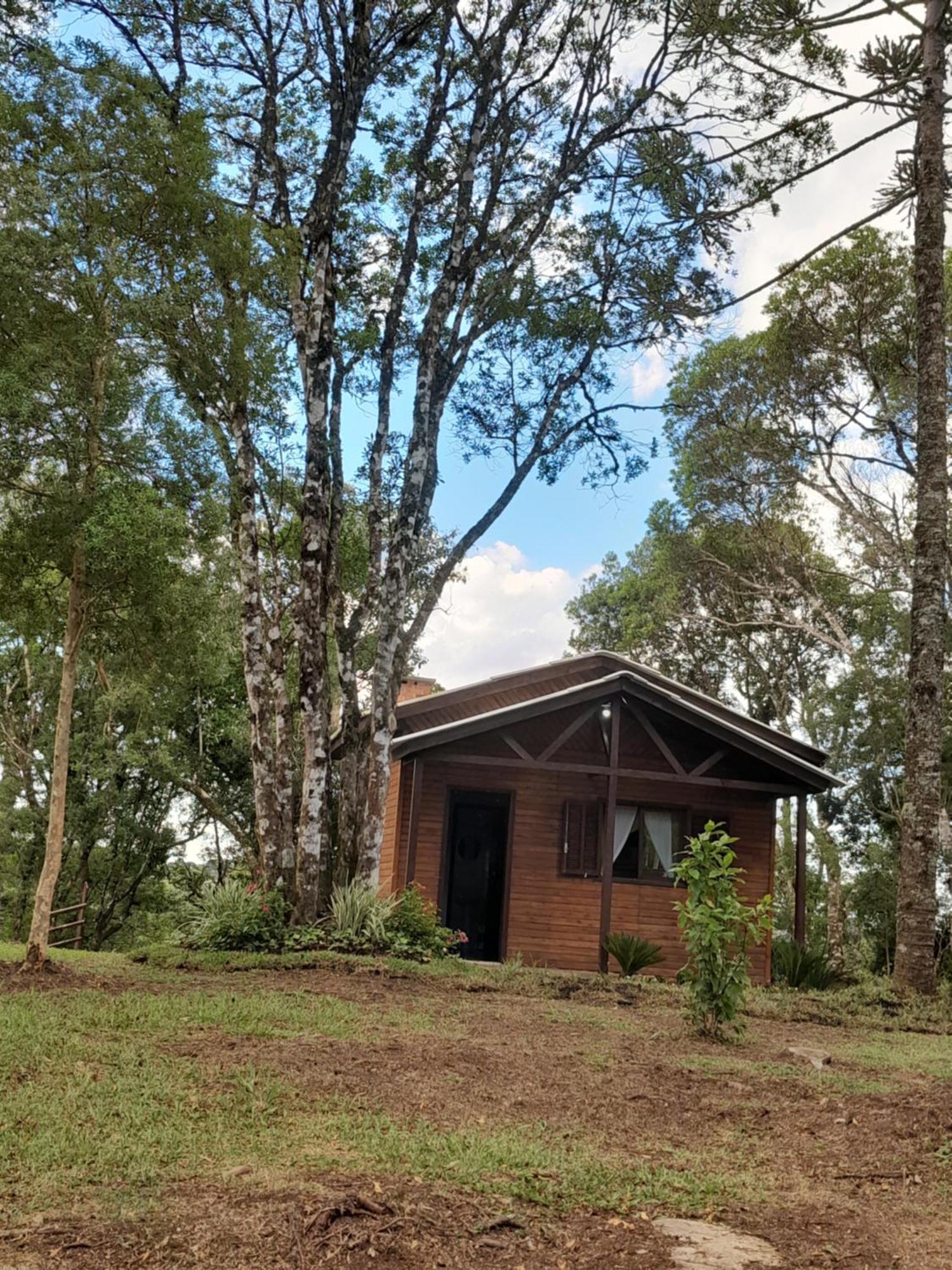 Cabanas Dos Pinheiros São Francisco de Paula Zimmer foto