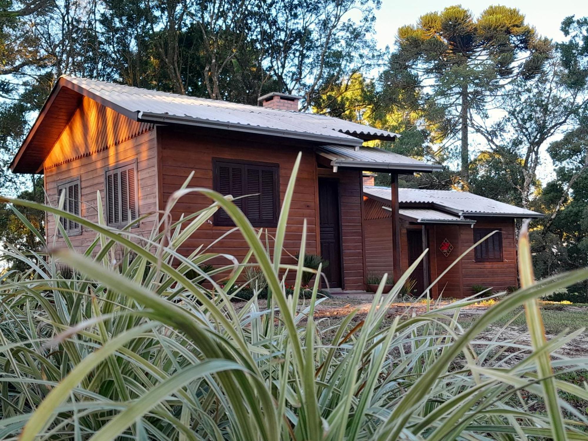 Cabanas Dos Pinheiros São Francisco de Paula Zimmer foto