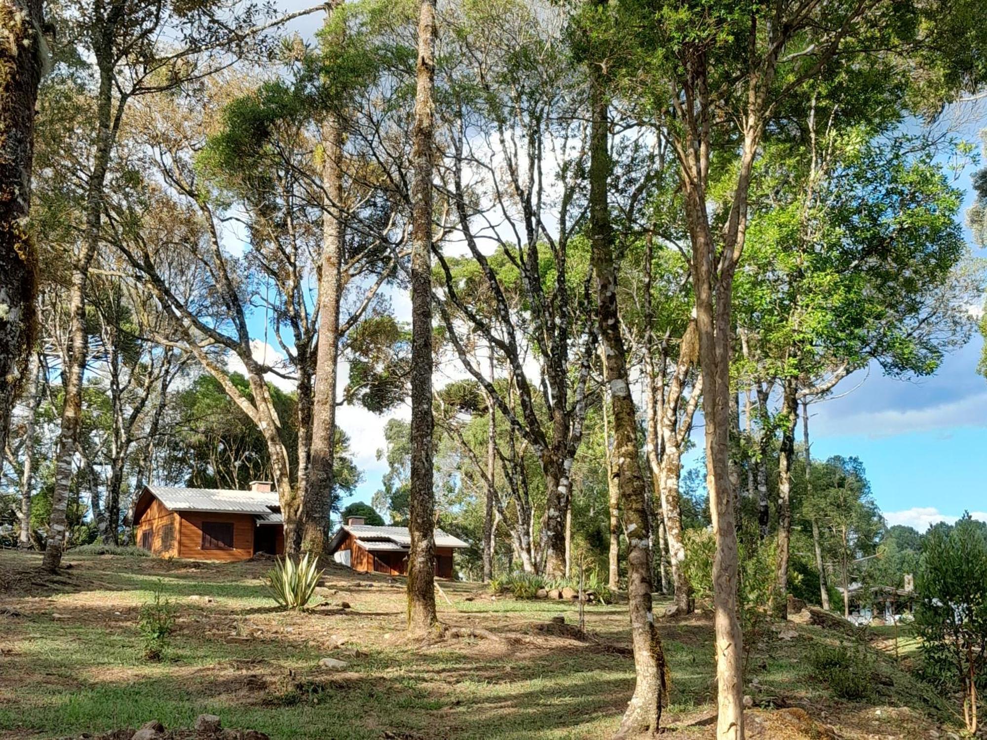 Cabanas Dos Pinheiros São Francisco de Paula Zimmer foto