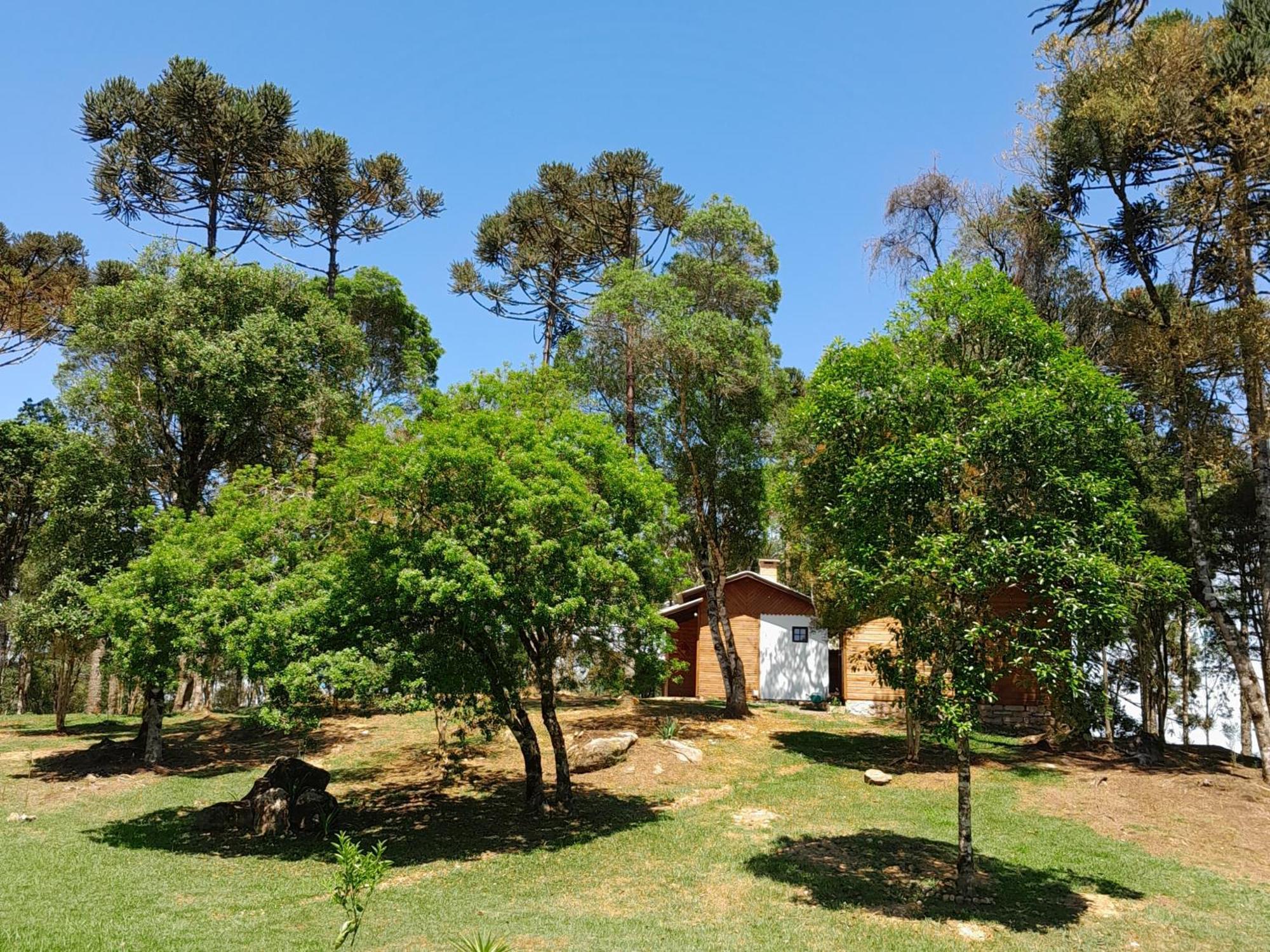 Cabanas Dos Pinheiros São Francisco de Paula Zimmer foto